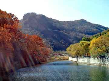 天天彩好彩天天免费，手机号码归属地查询及机主姓名